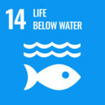 目標14：海の豊かさを守ろう